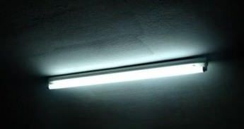 005zf6 005zf6