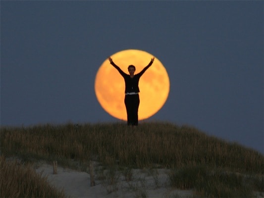 PLDmoon-6