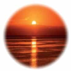 biyofili3