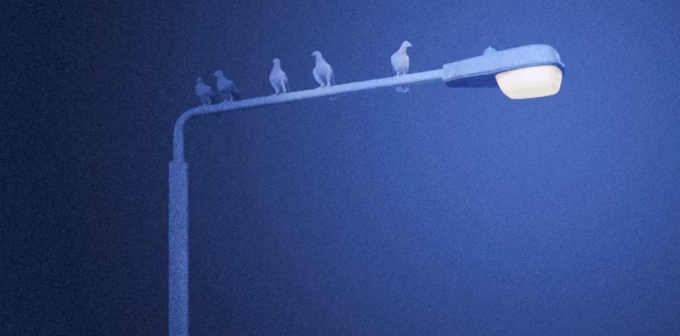 Görsel